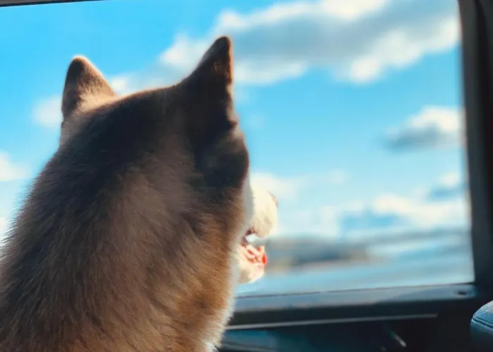 Paratiisi Maan Paeaellae! * Sarkisalo